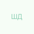 Шевченко Денис