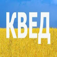 Зміна кведів ФОП через державного реєстратора