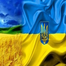Юридичні нюанси онлайн школи
