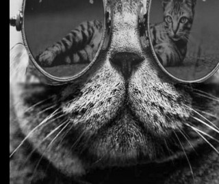 Глига Петро